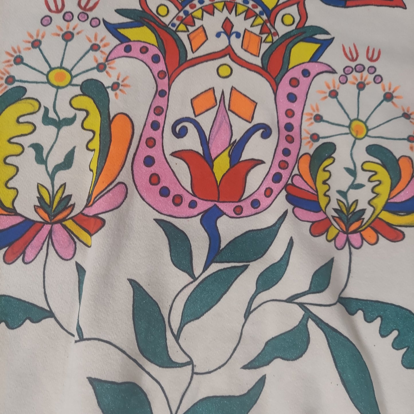 Tutti Frutti Dreams Sweatshirt Medium-Large